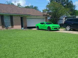 Joshu W.'s lawn maintenance service result