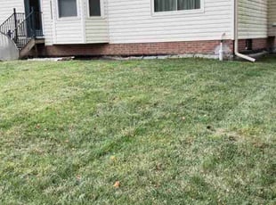 Joe J.'s lawn care service result