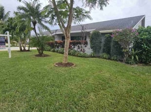 Leslie L.'s grass cutting service result