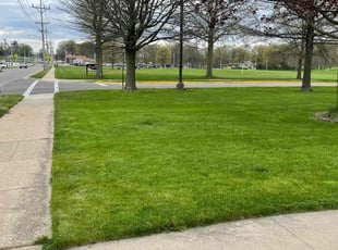 Kandy P.'s landscaping services service result
