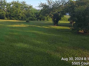 Doug S.'s grass cutting service result