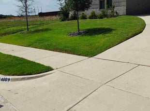 Sigita G.'s lawn service service result