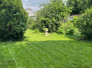 Katrena W.'s turf maintenance service result