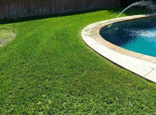 Sena A.'s grass maintenance service result