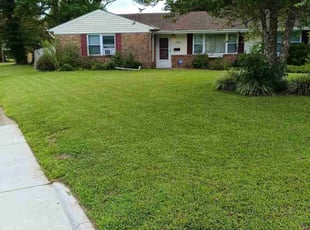 Yeshi G.'s lawn care services service result