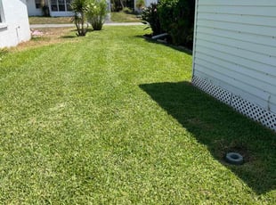Darlene C.'s lawn service service result