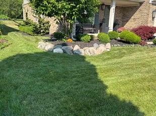 Jamie C.'s grass maintenance service result