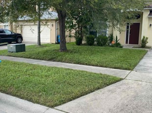 Brian M.'s Long Grass Cleanup service result
