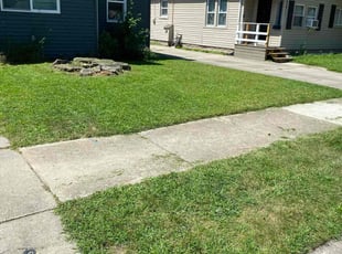 Ken S.'s turf care service result