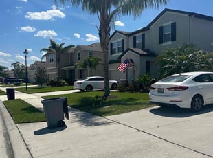 Fidelie M.'s lawn service service result