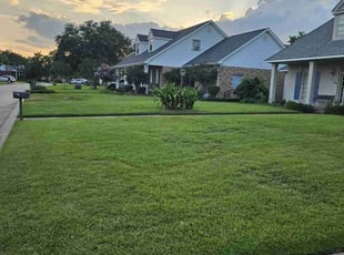 Janice L.'s lawn care services service result