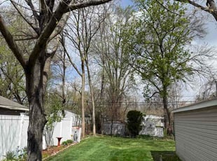 Alexandra B.'s turf maintenance service result