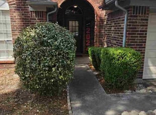 William B.'s lawn maintenance service result