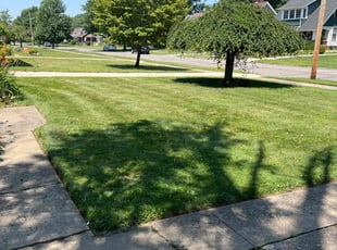 Casey S.'s lawn service service result