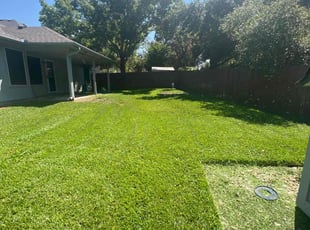 Ned K.'s lawn care services service result