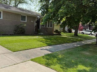 Ravikiran T.'s turf care service result