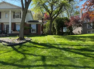 Eric W.'s grass maintenance service result