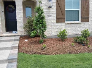 James P.'s Landscaping service result