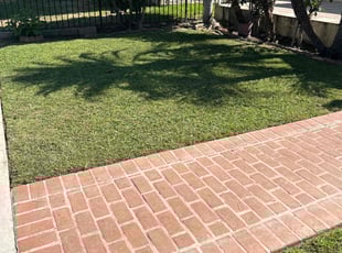 Todd A.'s turf maintenance service result