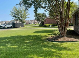 Christian B.'s lawn care service result