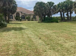 Anne T.'s lawn care services service result