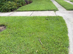 Matthew V.'s lawn maintenance service result