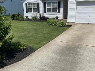 Kevin C.'s grass maintenance service result