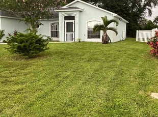 Bernard B.'s turf maintenance service result