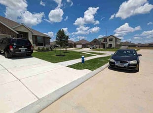 Charles M.'s turf care service result