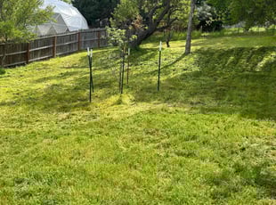 Julie B.'s turf care service result
