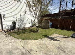 Jose V.'s grass maintenance service result