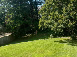Shannan A.'s lawn care service result