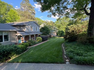 Dana D.'s grass cutting service result