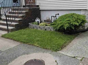 Michael J.'s lawn care service result