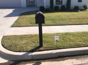 Dan A.'s lawn maintenance service result