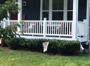 Tanya B.'s Bush Trimming service result