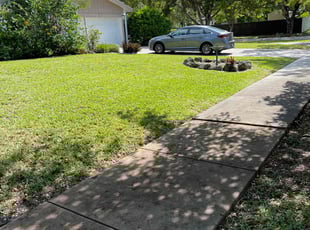 Saad T.'s lawn maintenance service result