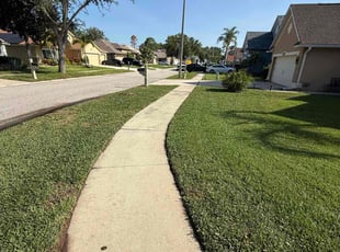 Andrew L.'s turf maintenance service result