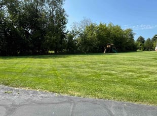 Tim C.'s grass cutting service result