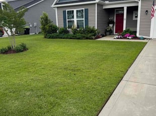 Todd Z.'s yard service service result