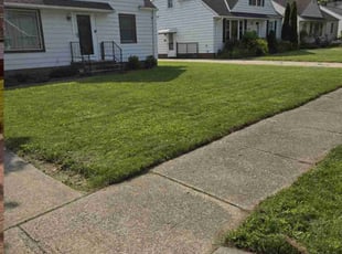 Mason M.'s grass maintenance service result