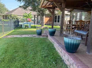 Hali D.'s grass cutting service result