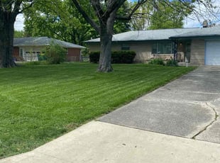 Betty O.'s grass cutting service result