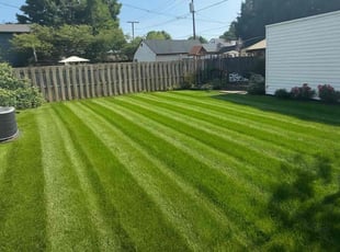 Jack B.'s turf maintenance service result