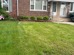 Jhamia H.'s lawn care service result