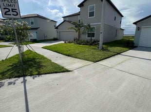 Bri L.'s turf care service result