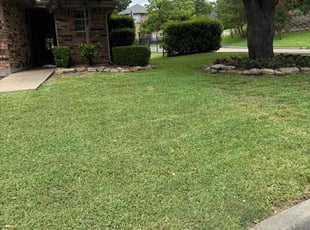 Chris V.'s yard maintenance service result