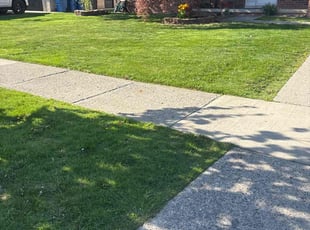 Megan N.'s lawn care service result