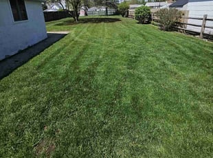 Netzach R.'s lawn care services service result