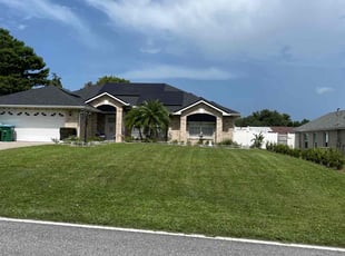 Nick W.'s turf care service result